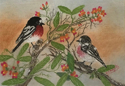 Pair of Robins on Scarlet Creeper